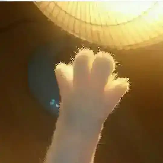 т е п л о