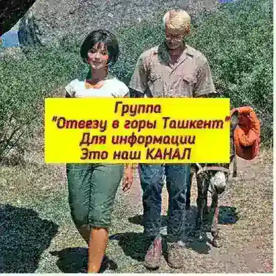 Отвезу в горы Ташкент Profile