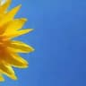 beautiful pictures