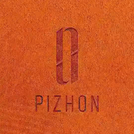 PIZHON News 🗞️