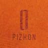 PIZHON News 🗞️