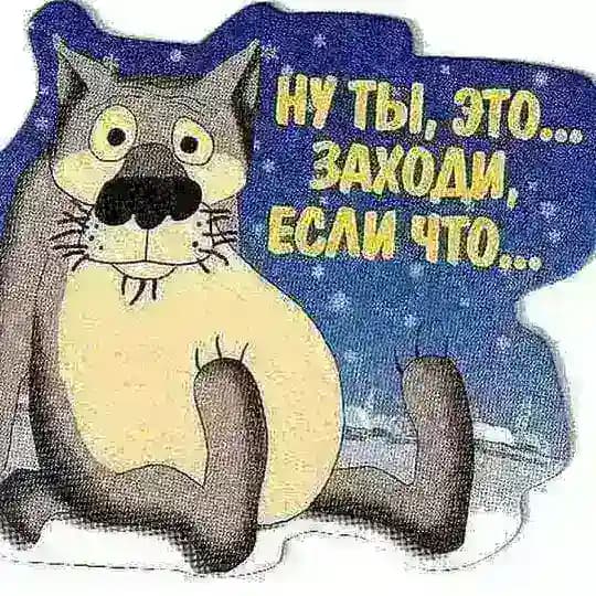 Подборка | Мемы | Gif | Видео