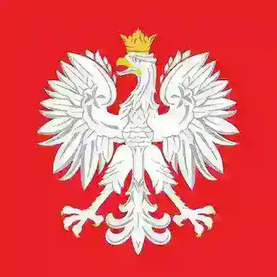 Польский в опросах 🇵🇱 n+1