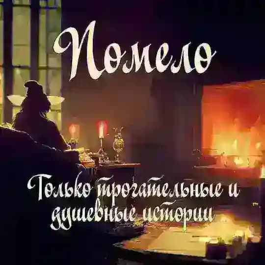 Помело