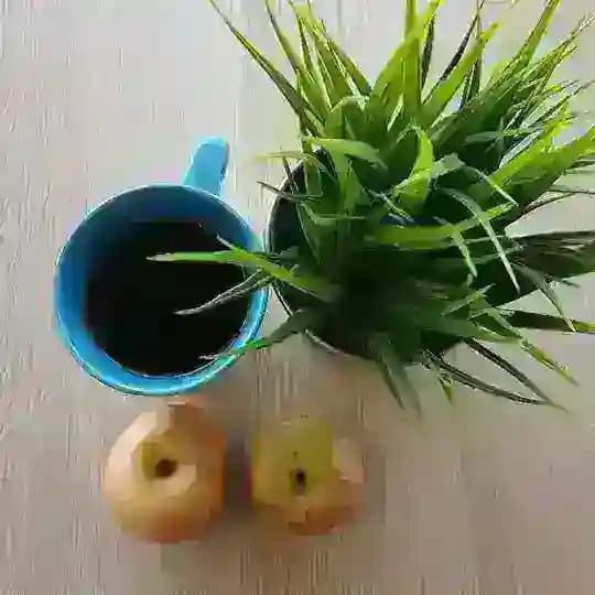 Едим и не толстеем Profile