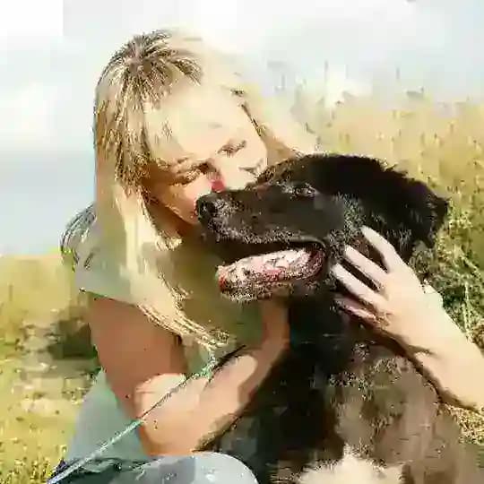 Приют «Тимошка»