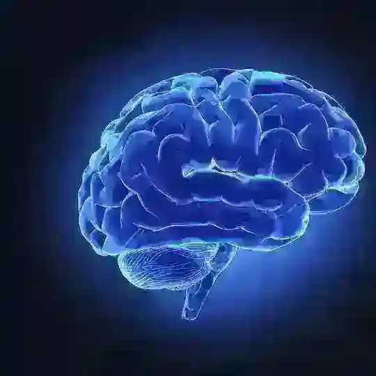 Психология & Психотерапия