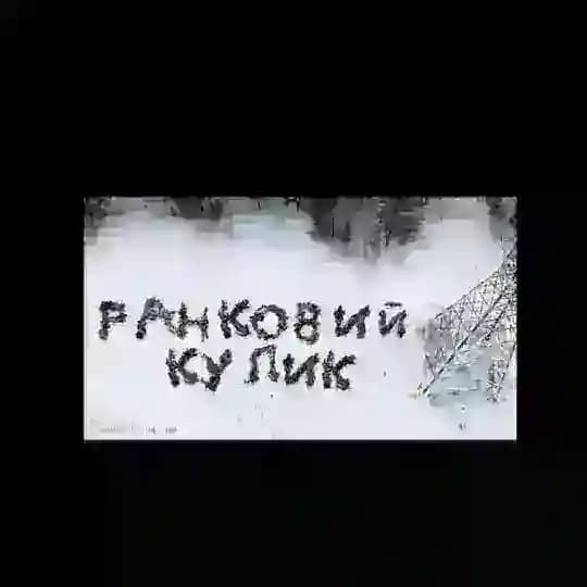 РАНКОВИЙ КУЛИК