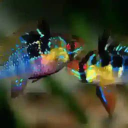 Аквариумные рыбки Profile