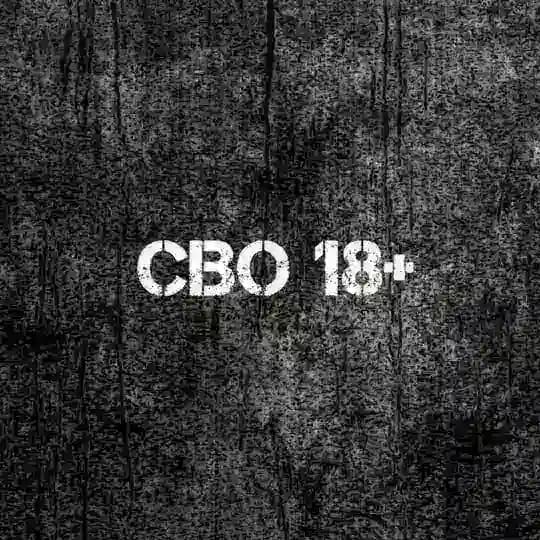 СВО 18+