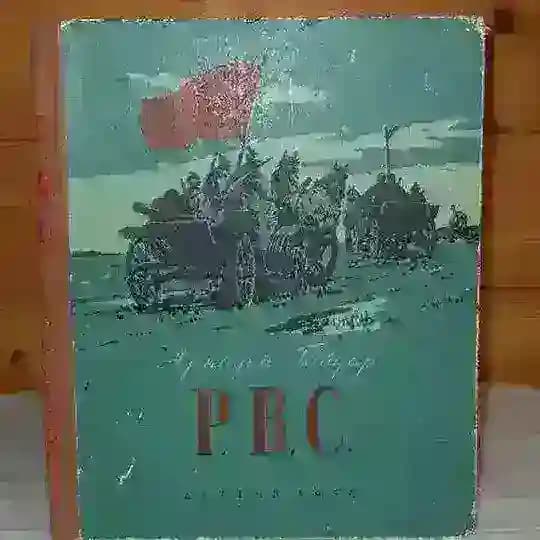 РВС (Родительское Всероссийское Сопротивление)