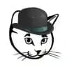 ShinyCatz