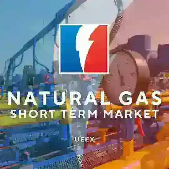 УЕБ - Короткостроковий ринок природного газу Profile