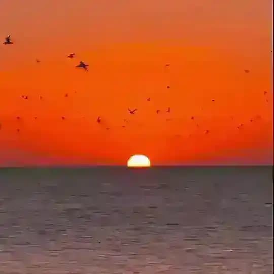 Рассветы и закаты ✨ Sunrise Sunset✨