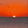 Рассветы и закаты ✨ Sunrise Sunset✨