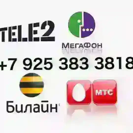 Безлимитные тарифы для сотовой связи от Tarifico