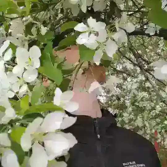 тезаурус меня • заметки автора
