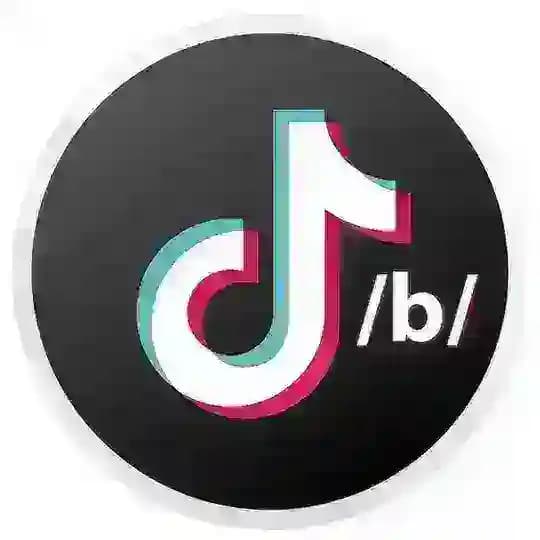 TikTok /b/
