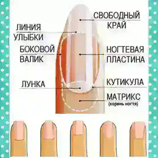Дизайн ногтей | Маникюр