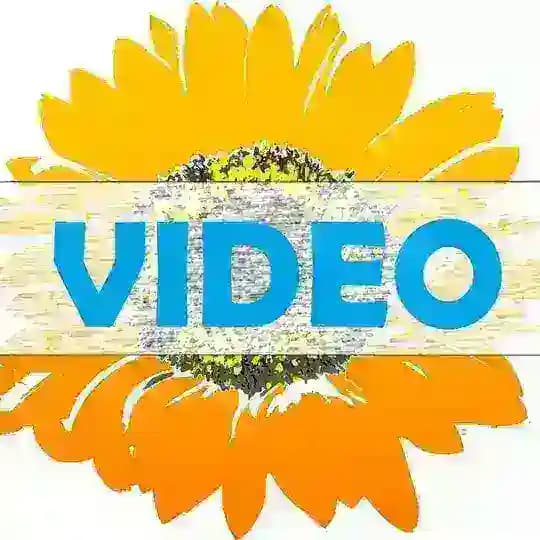 ВІСНИК: ВІДЕО & ПОДАТКИ