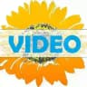 ВІСНИК: ВІДЕО & ПОДАТКИ