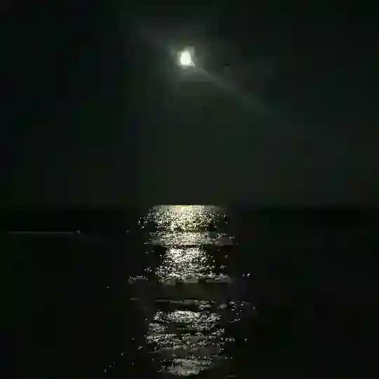 The Voice of Moon