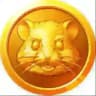 КОМБО и ШИФР Hamster Kombat | Комбо карточек и Ежедневный шифр в Хамстер Комбат