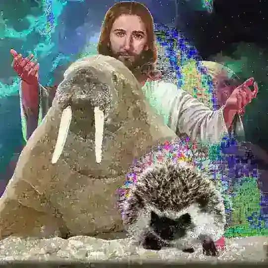 Эволюция моржа в ежа