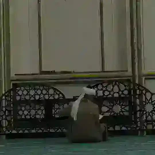 صوت الإسلام