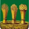 Пенза 2019