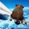 Авиация, как это работает❓ 🛫