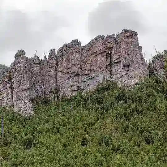 Будни главы Profile