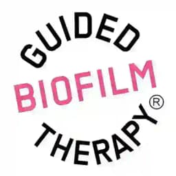 GBT ACADEMY Russia Profile