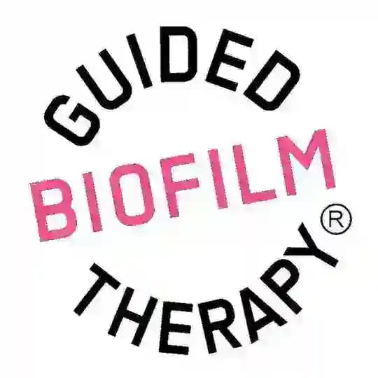 GBT ACADEMY Russia Profile