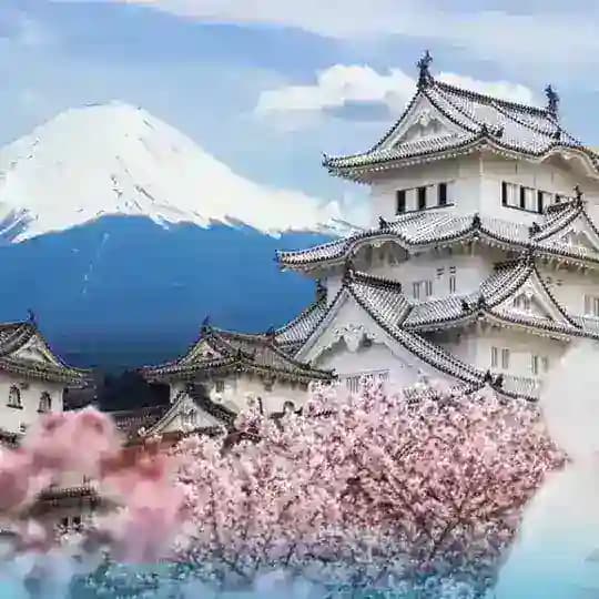 Japan News🇯🇵