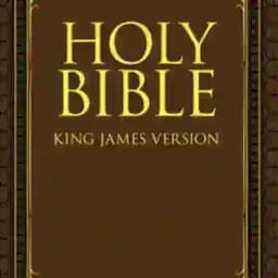 KJV - Holy Bible Audio Profile
