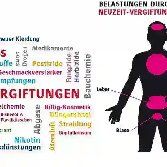💢 Lebensmittel Friedhof Offiziell