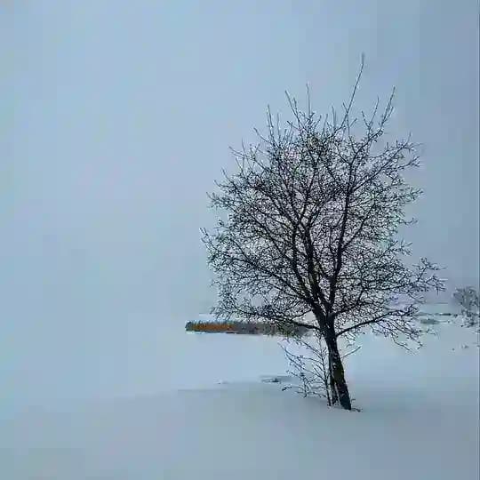 Модест Колеров