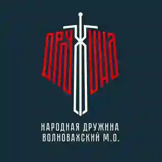 Народная Дружина | Волновахский м.о.