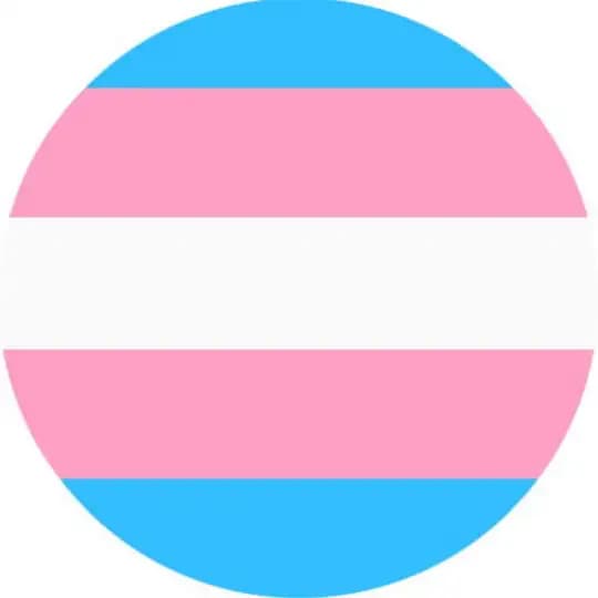 trans & shemale beauties Profile