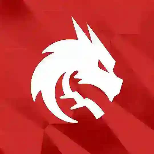 Team Spirit