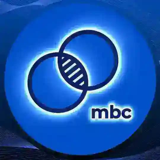 Almaty Math Battles / AMB 2025 Profile