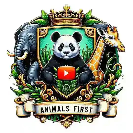 Animals First ππ¦π¦