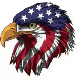 🦅 Aquila 🦅 Profile