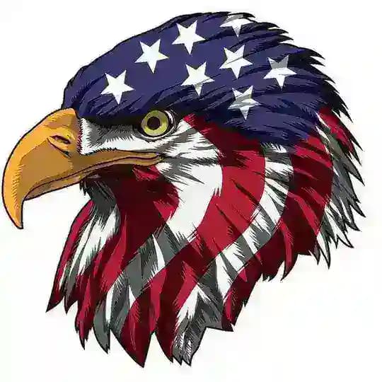 🦅 Aquila 🦅 Profile