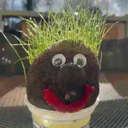 Архивный гик Profile