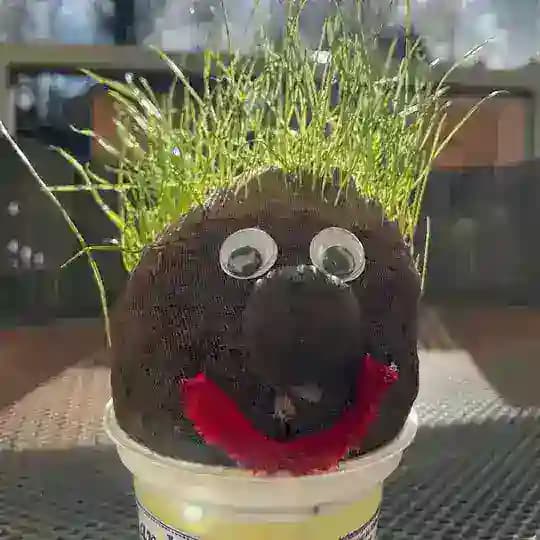 Архивный гик Profile