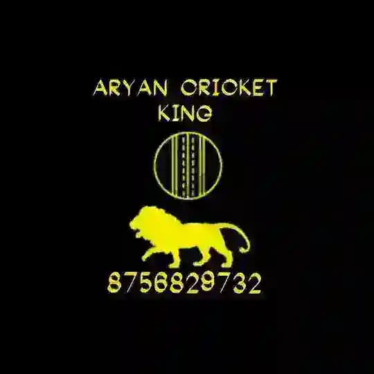 Aryan batting tips