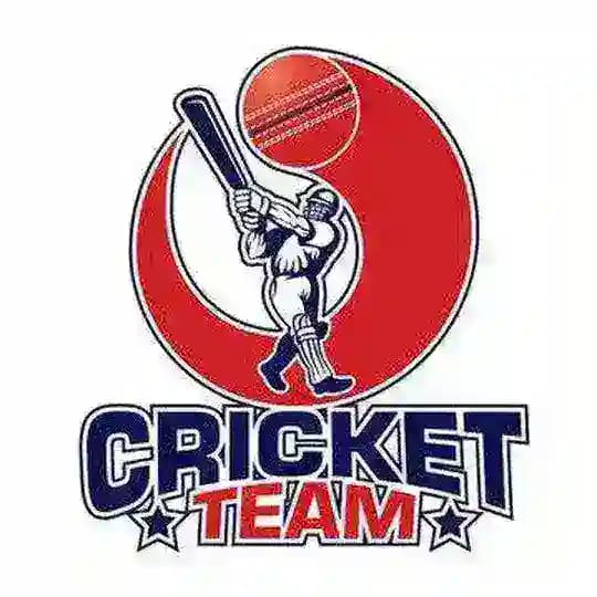 Cricket Teams By ASHWIN
