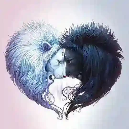 Beautiful Pics☮